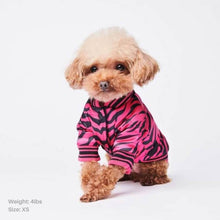 Load image into Gallery viewer, Pink Zebra Dog Bomber Jacket by Spark Paws