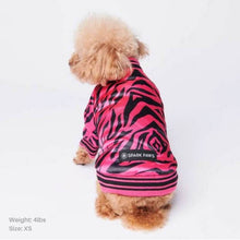 Load image into Gallery viewer, Pink Zebra Dog Bomber Jacket by Spark Paws