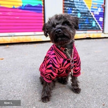 Load image into Gallery viewer, Pink Zebra Dog Bomber Jacket by Spark Paws