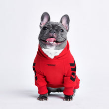 Load image into Gallery viewer, "WOOF" Dog Hoodie - Red by Spark Paws