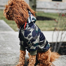 Load image into Gallery viewer, Green Camo Shark Monster Hoodie by Spark Paws