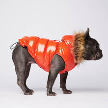 Load image into Gallery viewer, Ultra Down Puffer Jacket - Tangerine by Spark Paws