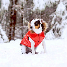 Load image into Gallery viewer, Ultra Down Puffer Jacket - Tangerine by Spark Paws