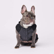 Load image into Gallery viewer, Vegan Leather Moto Vest - Red by Spark Paws