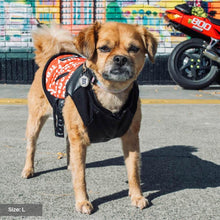 Load image into Gallery viewer, Vegan Leather Moto Vest - Red by Spark Paws