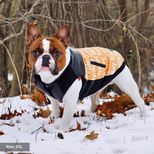 Load image into Gallery viewer, Vegan Leather Moto Vest - Yellow by Spark Paws