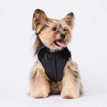 Load image into Gallery viewer, Vegan Leather Moto Vest - Yellow by Spark Paws
