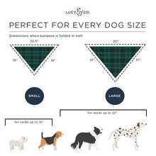 Load image into Gallery viewer, The Chiffon Bandana by Lucy & Co.