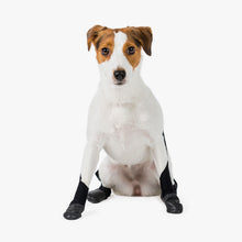 Load image into Gallery viewer, Walkee Paws - SNUG FIT