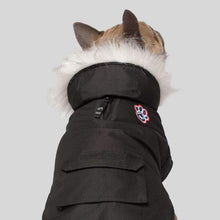 Load image into Gallery viewer, Winter Wilderness Jacket by Canada Pooch