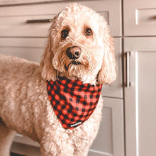 Load image into Gallery viewer, Dog Bandana - Red Plaid Classic by Bcuddly