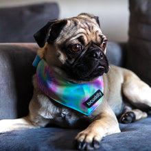 Load image into Gallery viewer, Dog Bandana - Tie Dye by Bcuddly