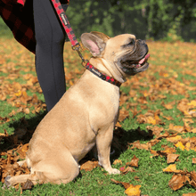 Load image into Gallery viewer, Dog Collar - Red Plaid Classic by Bcuddly