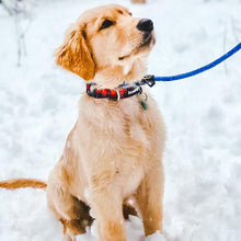 Load image into Gallery viewer, Dog Collar - Red Plaid Classic by Bcuddly