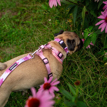 Load image into Gallery viewer, Dog Leash - Blush Pink (6ft) by Bcuddly