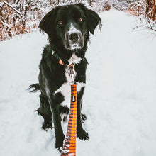 Load image into Gallery viewer, Dog Leash - Classic Red Plaid (6ft) by Bcuddly