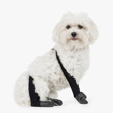 Load image into Gallery viewer, Walkee Paws - SNUG FIT