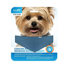 Load image into Gallery viewer, FouFIT Cooling Bandana