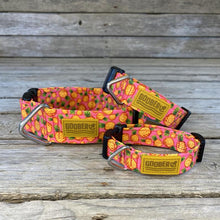 Load image into Gallery viewer, Goober Collar Pineapples!