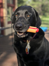 Load image into Gallery viewer, Hot Dog Chew Toy - Medium/Large
