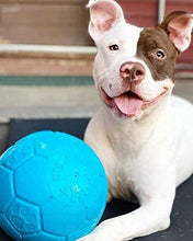 Load image into Gallery viewer, Jolly Pets - Soccer Ball