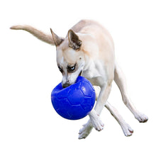 Load image into Gallery viewer, Jolly Pets - Soccer Ball