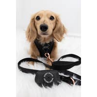 Load image into Gallery viewer, 'Baby got Black' Adjustable Dog Harness