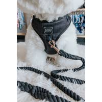 Load image into Gallery viewer, 'Baby got Black' Adjustable Dog Harness