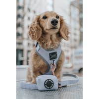 Load image into Gallery viewer, '50 Shades of Sass' Adjustable Dog Harness by Sassy Woof