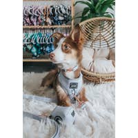 Load image into Gallery viewer, '50 Shades of Sass' Adjustable Dog Harness by Sassy Woof