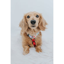 Load image into Gallery viewer, 'Love is Love' Step-In Dog Harness