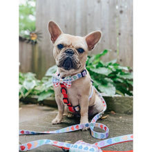 Load image into Gallery viewer, 'Love is Love' Step-In Dog Harness