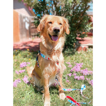 Load image into Gallery viewer, 'Love is Love' Step-In Dog Harness