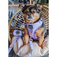Load image into Gallery viewer, 'Aurora' Adjustable Dog Harness by Sassy Woof
