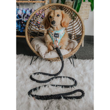 Load image into Gallery viewer, Dog Rope Leash - Noir (Black)