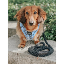 Load image into Gallery viewer, Dog Rope Leash - Noir (Black)