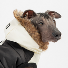 Load image into Gallery viewer, AVA JACKET - BLACK