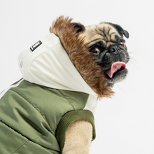 Load image into Gallery viewer, AVA JACKET - GREEN