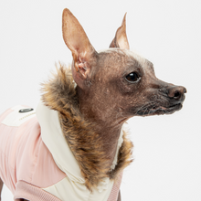 Load image into Gallery viewer, AVA JACKET - PINK