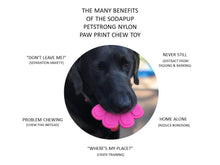 Load image into Gallery viewer, SP PAW PRINT ULTRA DURABLE NYLON DOG CHEW TOY FOR AGGRESSIVE CHEWERS - PINK