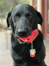 Load image into Gallery viewer, SP CHERRY PIE ULTRA DURABLE NYLON DOG CHEW TOY AND TREAT HOLDER FOR AGGRESSIVE CHEWERS - RED