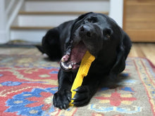 Load image into Gallery viewer, ID PIPE WRENCH ULTRA DURABLE NYLON DOG CHEW TOY FOR AGGRESSIVE CHEWERS – YELLOW