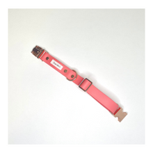 Load image into Gallery viewer, Sorbet Biothane Collar