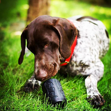 Load image into Gallery viewer, SP MAGNUM CAN TOY ULTRA DURABLE RUBBER CHEW TOY & TREAT DISPENSER โ BLACK XL