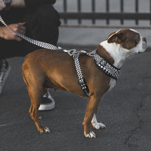 Load image into Gallery viewer, Checkerboard Adjustable Mesh Harness