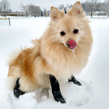 Load image into Gallery viewer, Walkee Paws - ADJUSTABLE FIT