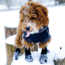 Load image into Gallery viewer, Walkee Paws - ADJUSTABLE FIT