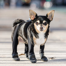 Load image into Gallery viewer, Walkee Paws - ADJUSTABLE FIT