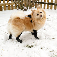 Load image into Gallery viewer, Walkee Paws - ADJUSTABLE FIT