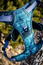 Load image into Gallery viewer, Summit - Click N Go Dog Harness